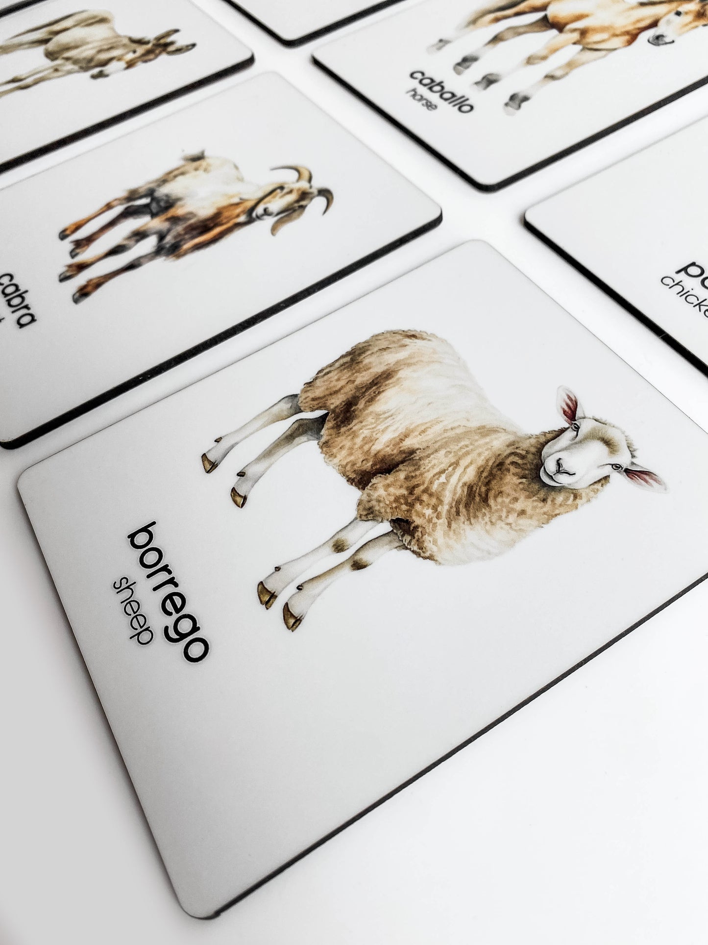 Flashcards - Granja