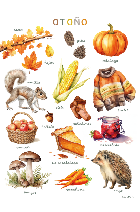 Pergamino en Canvas - Otoño