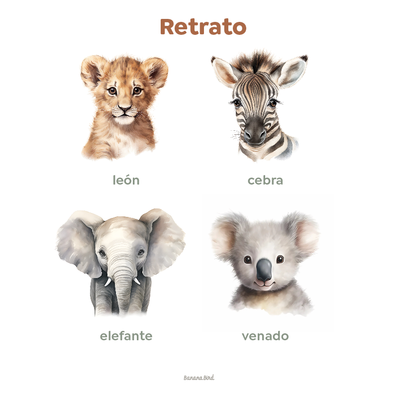 Cuadros Canvas - Retratos de Animales (LIQUIDACIÓN)