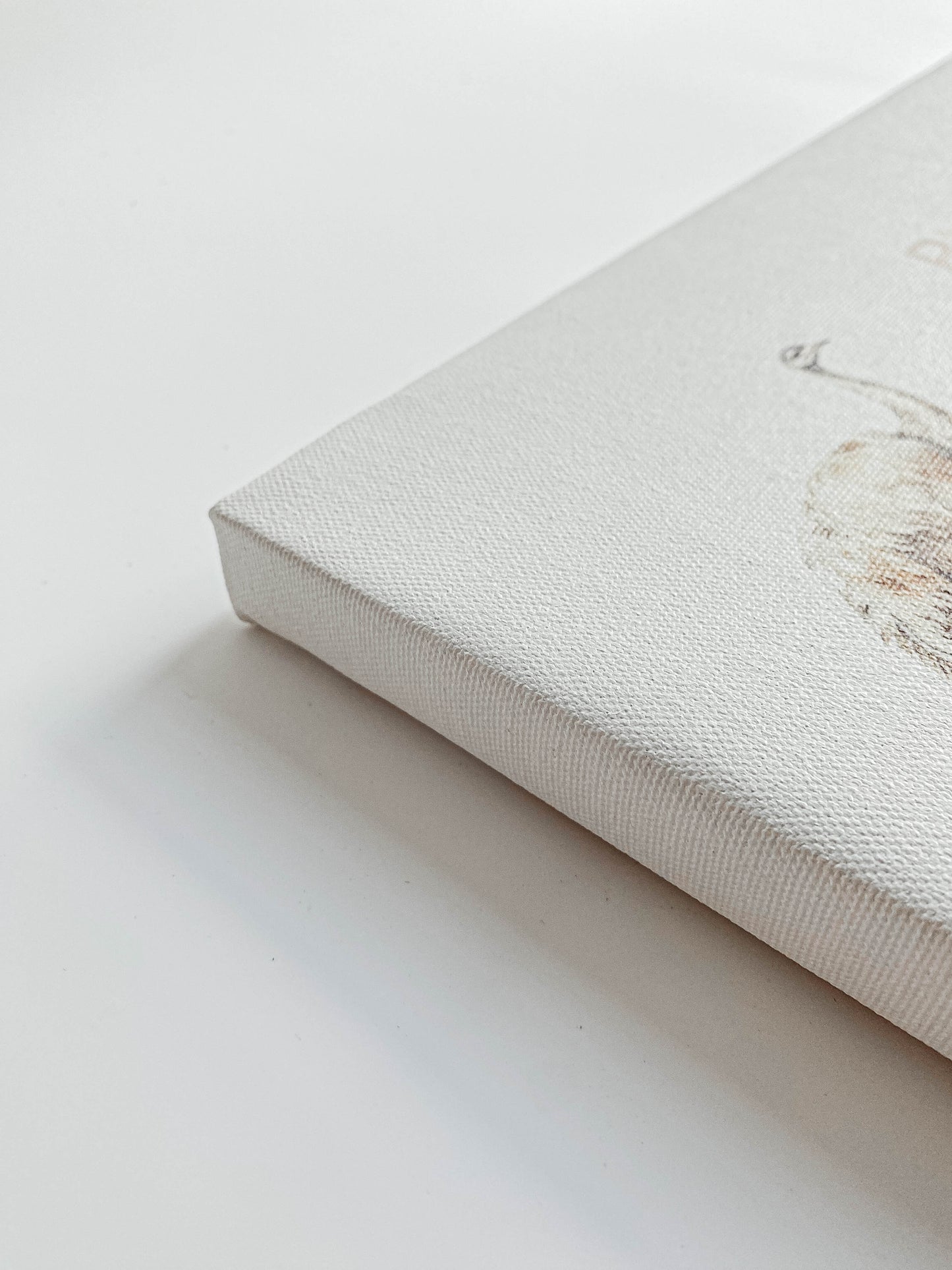 Cuadro Canvas - ABC de Animales