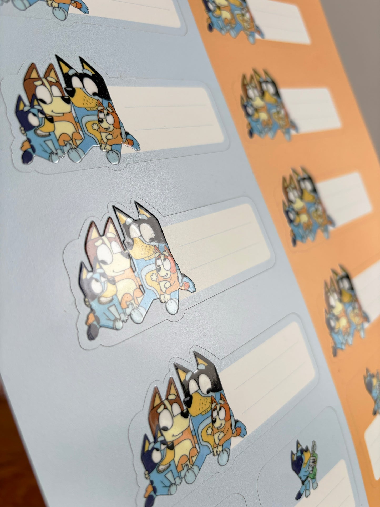 Paquetes de Etiquetas Escolares Rellenables (LIQUIDACIÓN)