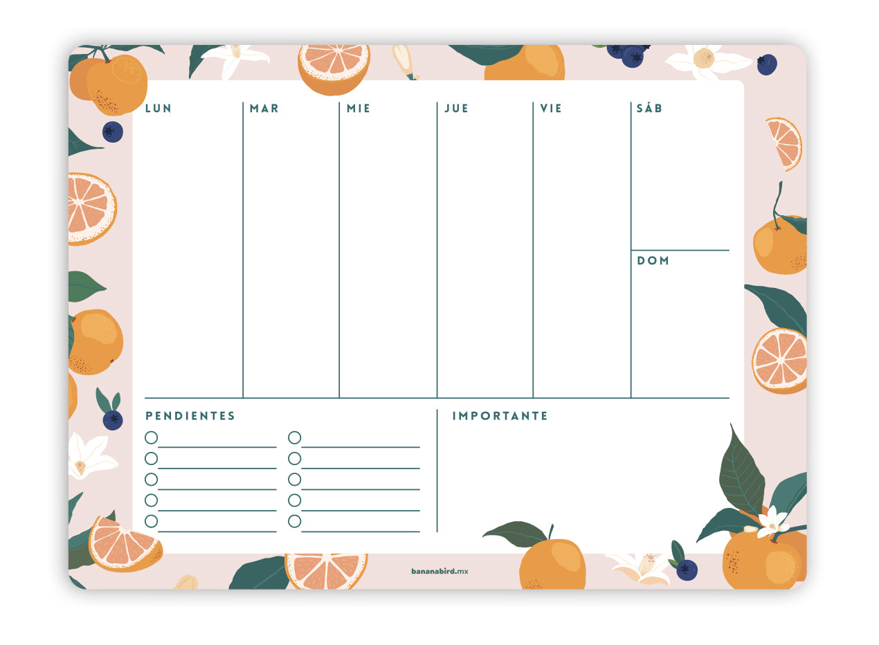 Planner magnético "Semanal con pendientes y notas"