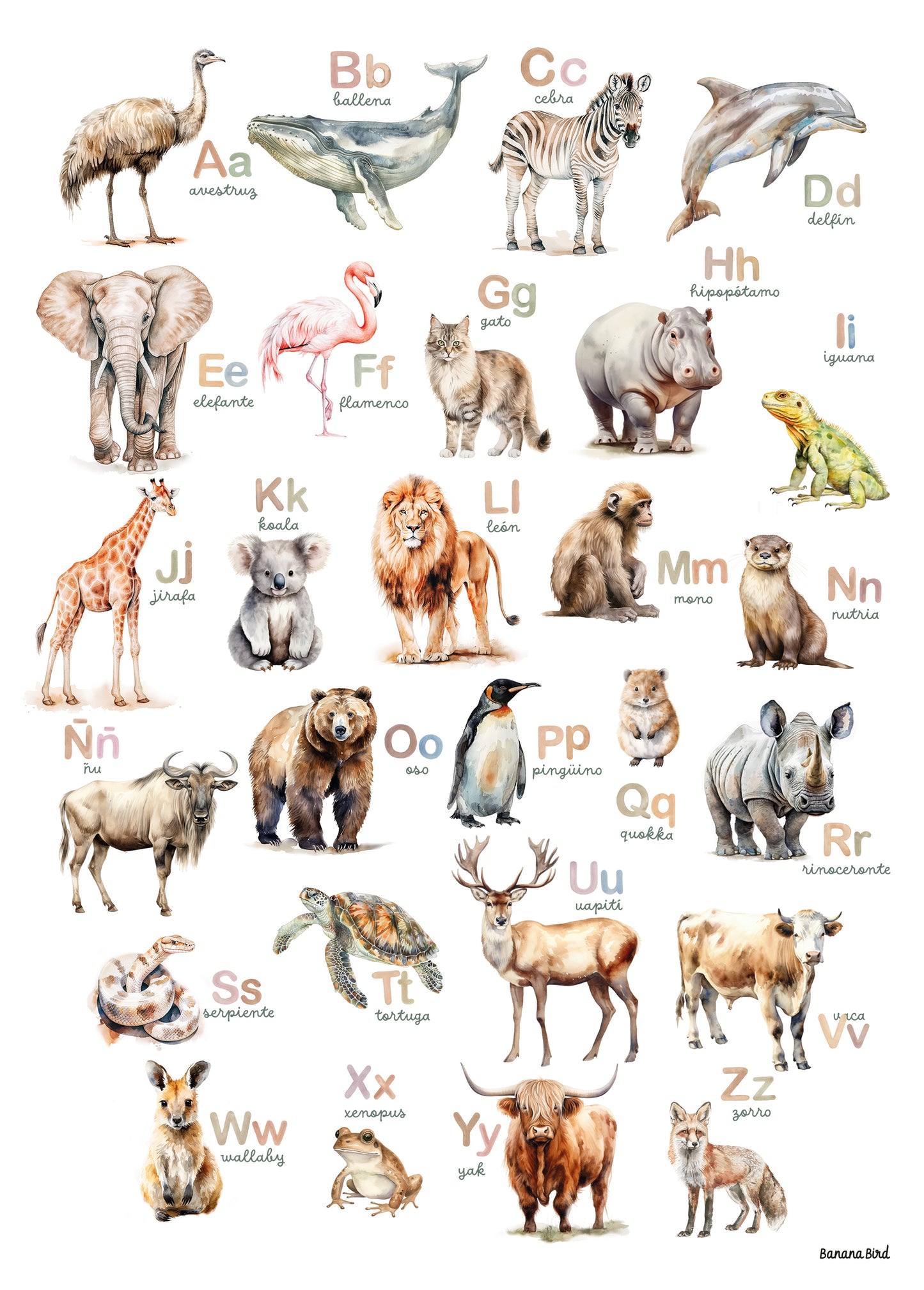 Pergamino en Canvas - ABC de Animales