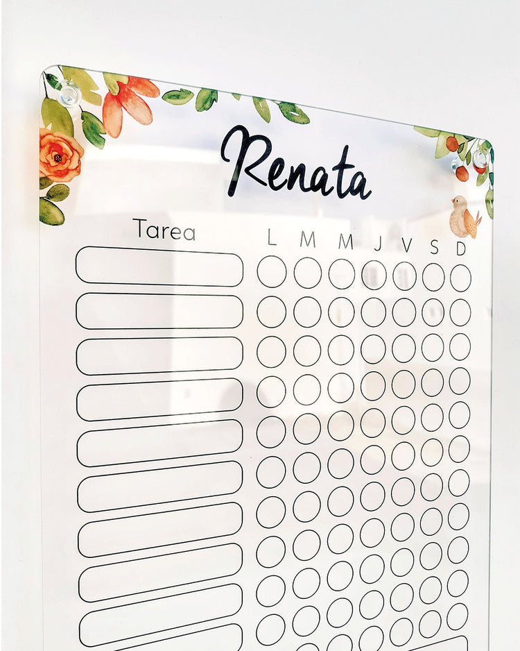 Planners de acrílico para niños