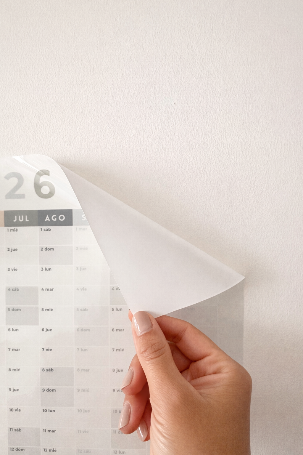 Planner Anual en Vinil Removible