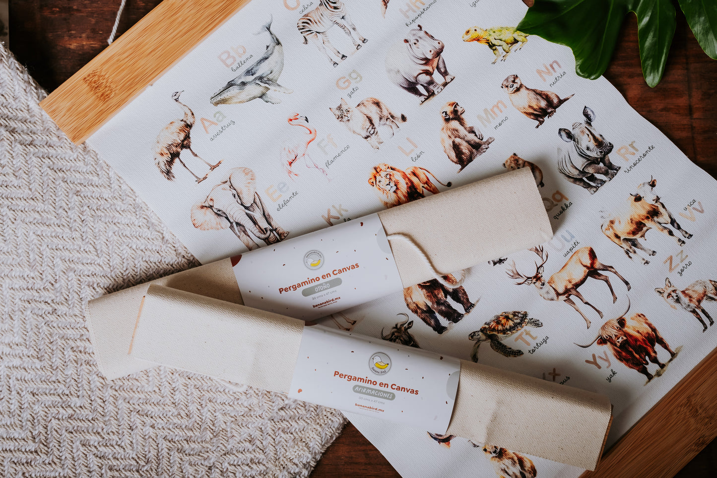 Pergamino en Canvas - ABC de Animales