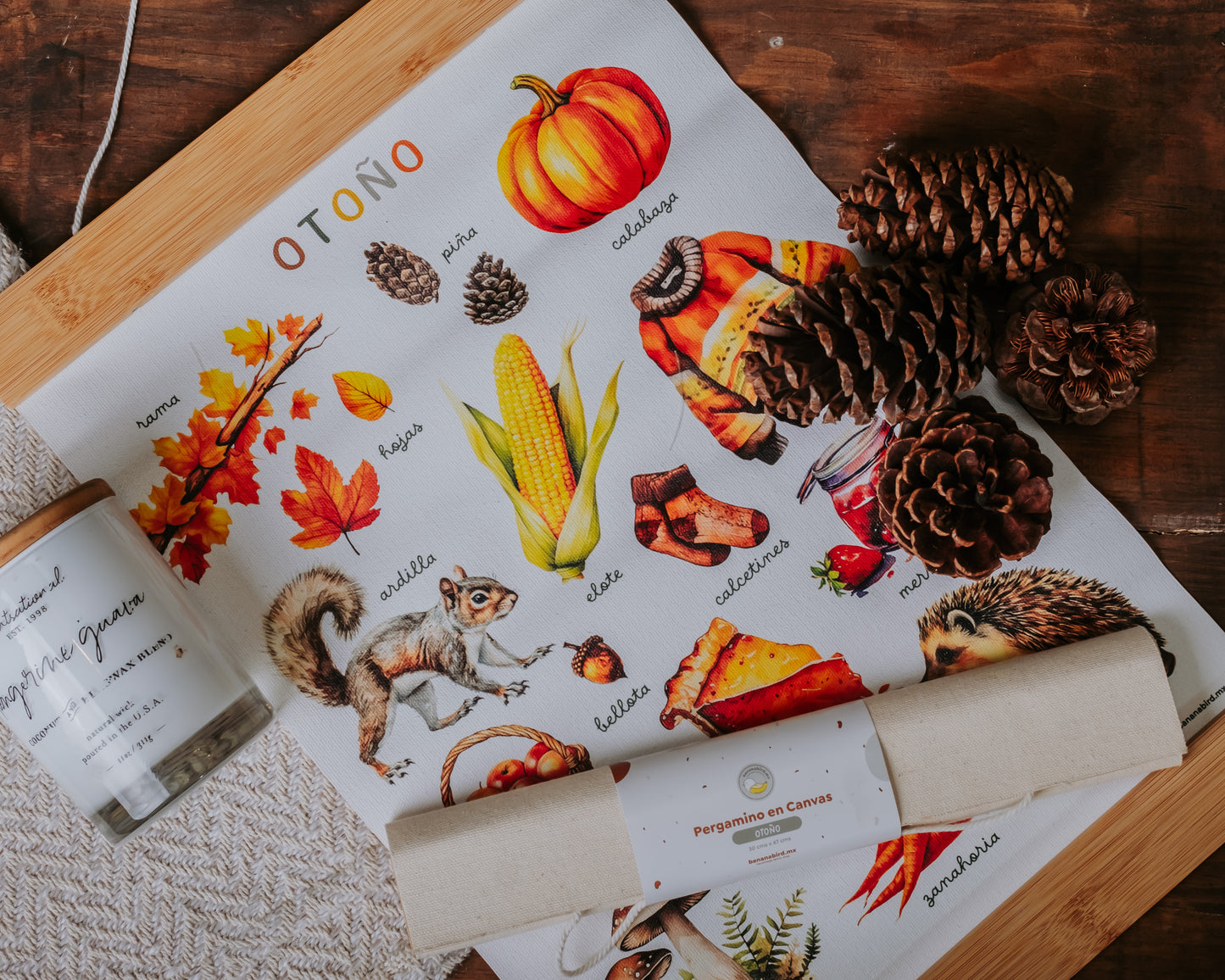 Pergaminos en Canvas - Estaciones del año