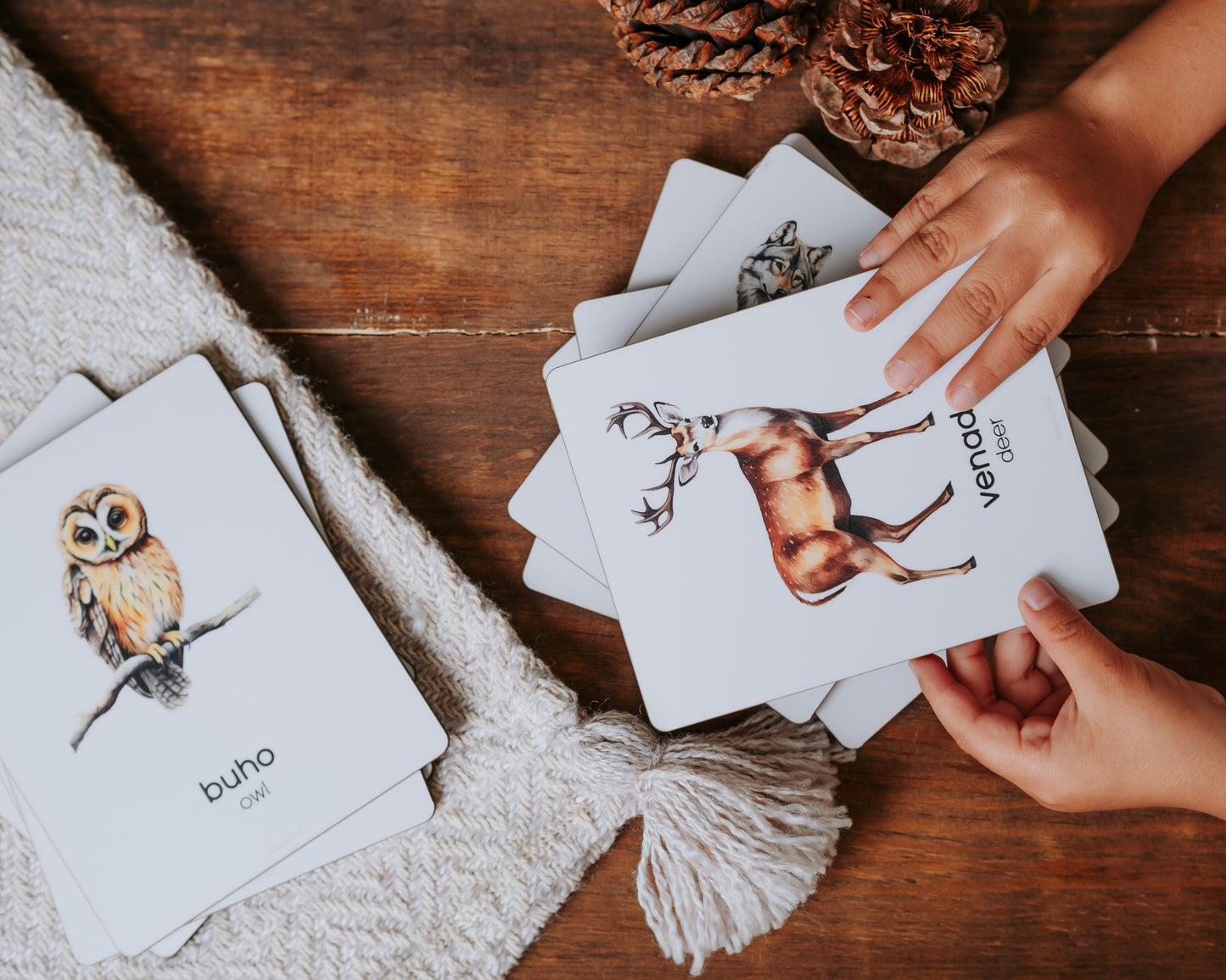 Flashcards - Bosque