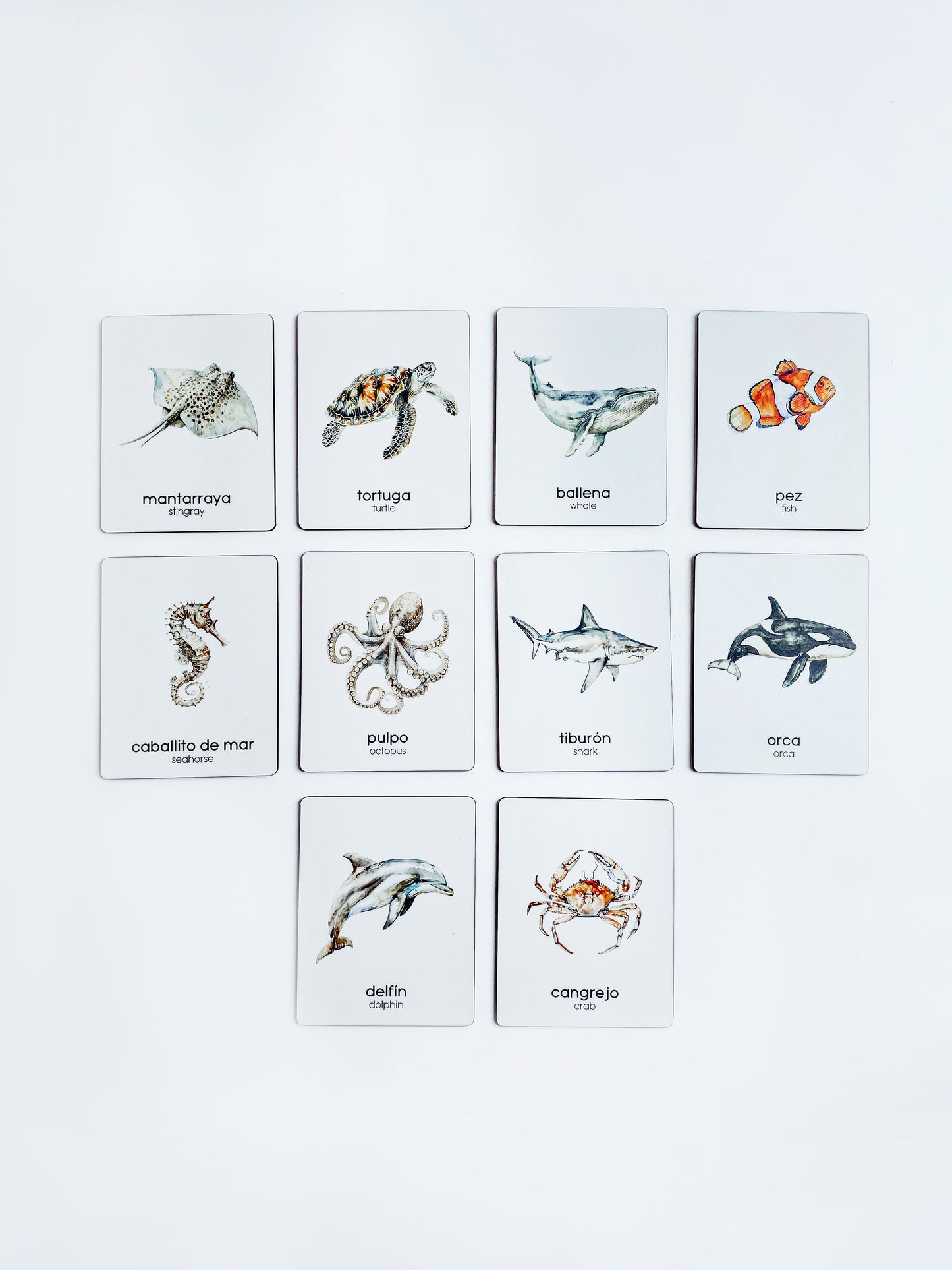 Flashcards - Mar