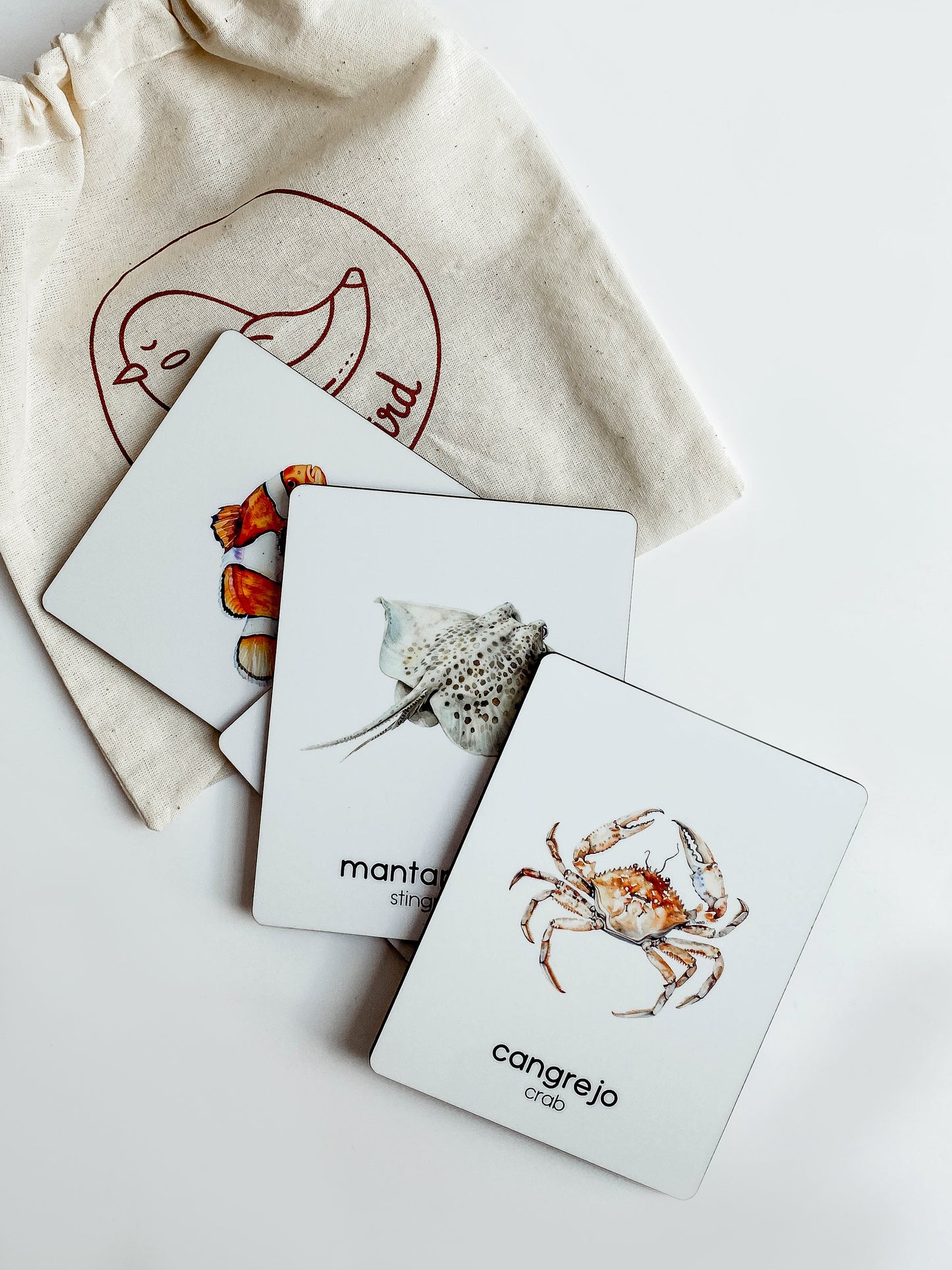 Flashcards - Mar