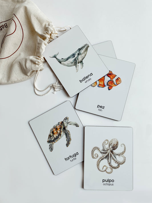 Flashcards - Mar