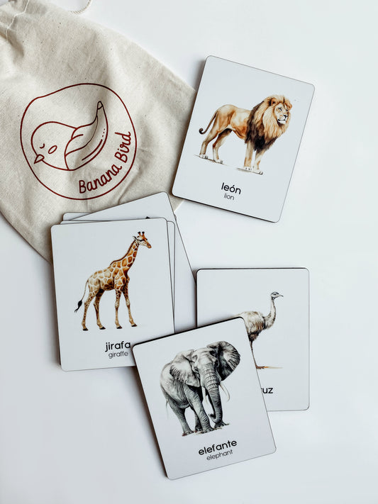 Flashcards - Sabana