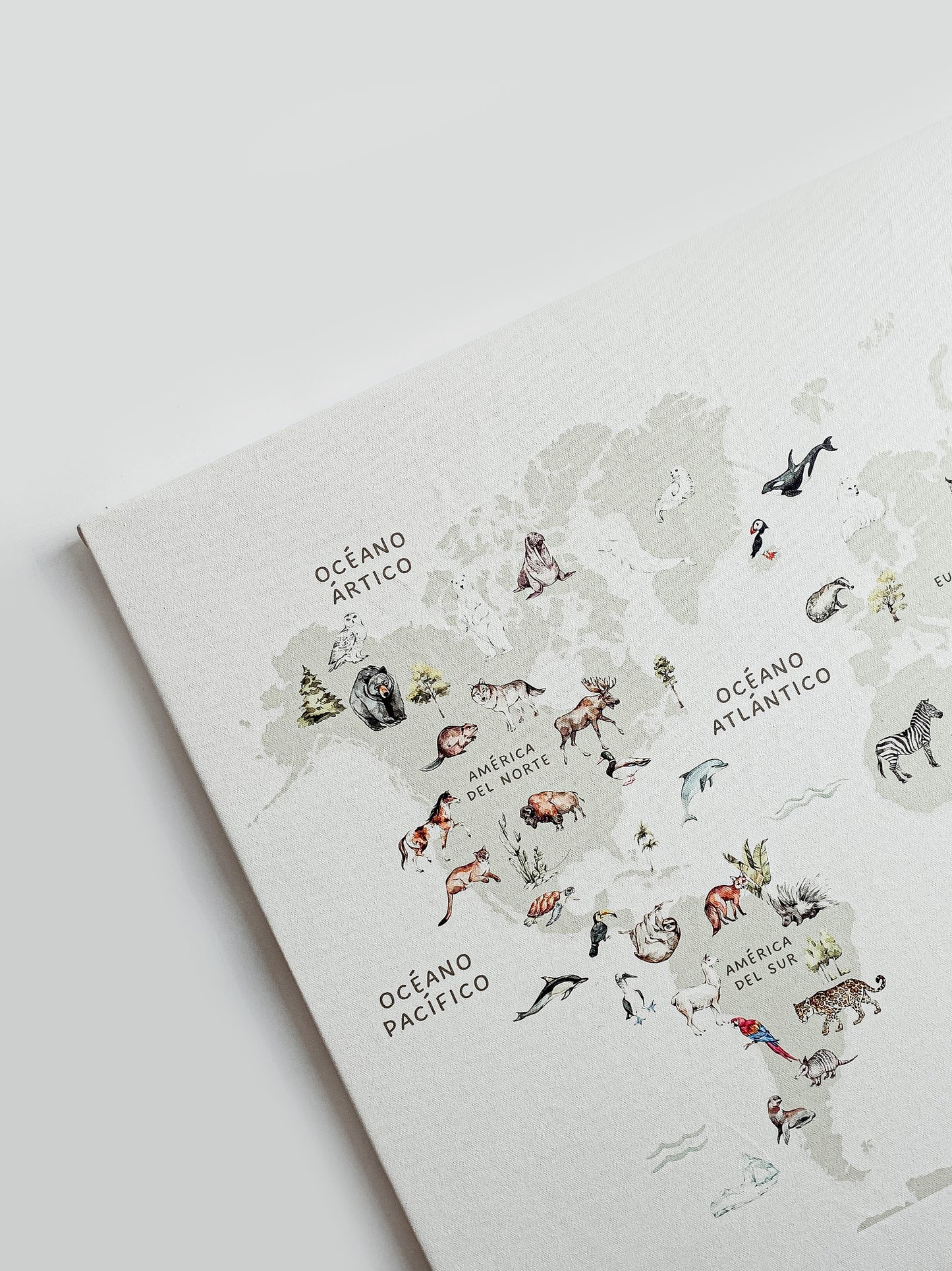 Cuadro en Canvas  - Mapa del Mundo