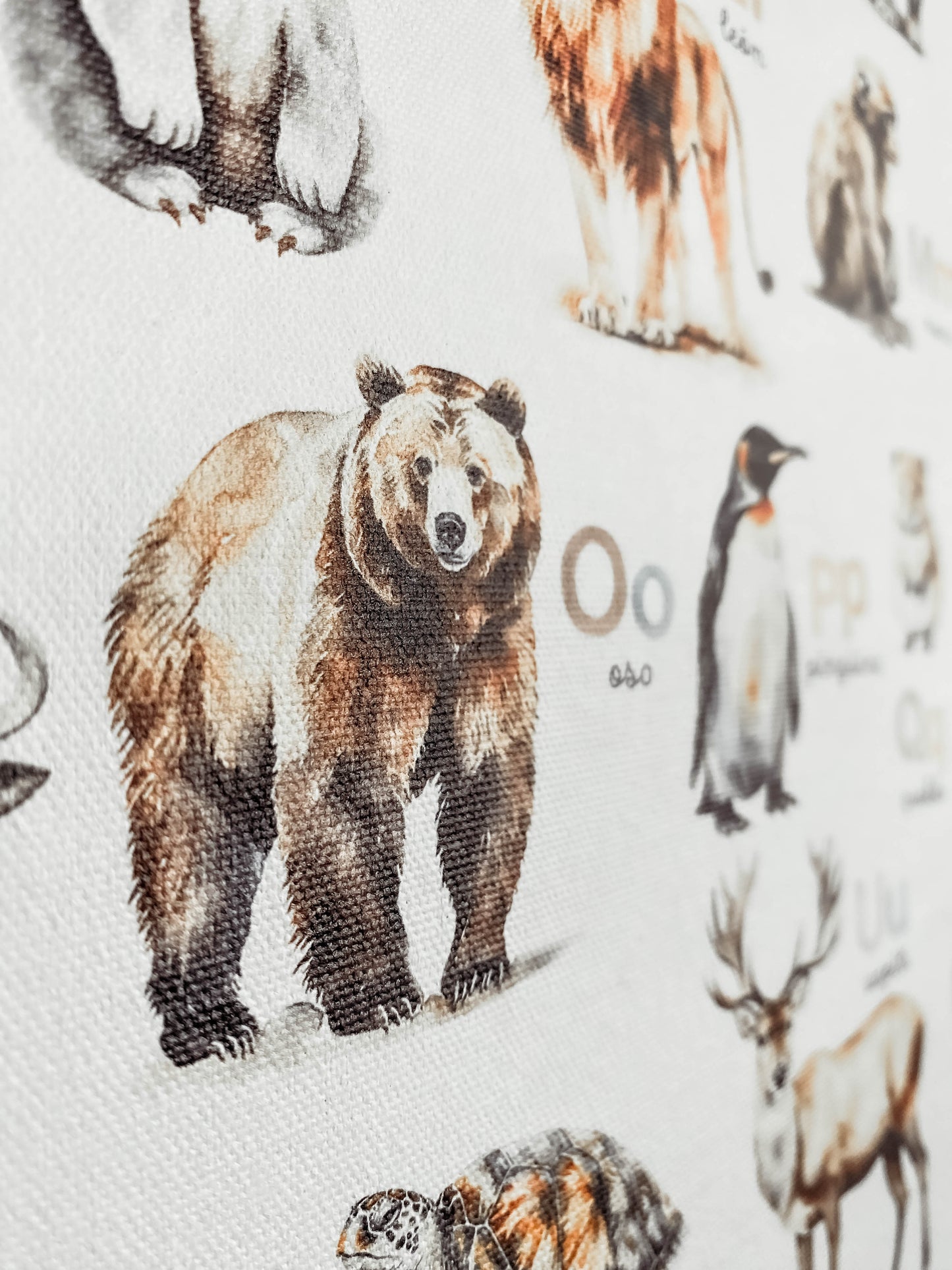 Cuadro Canvas - ABC de Animales