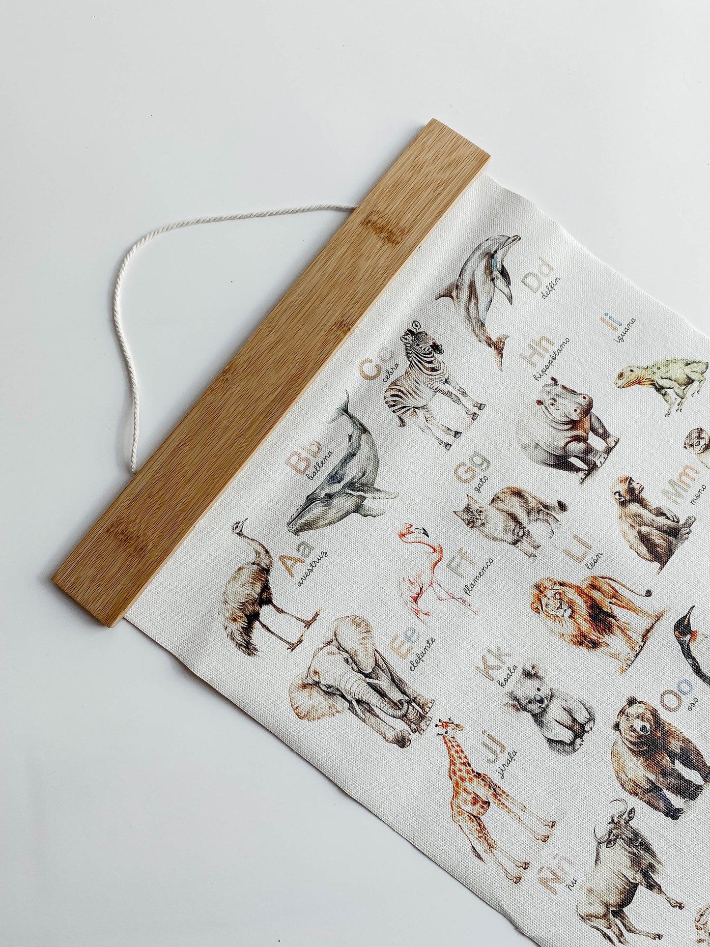Pergamino en Canvas - ABC de Animales