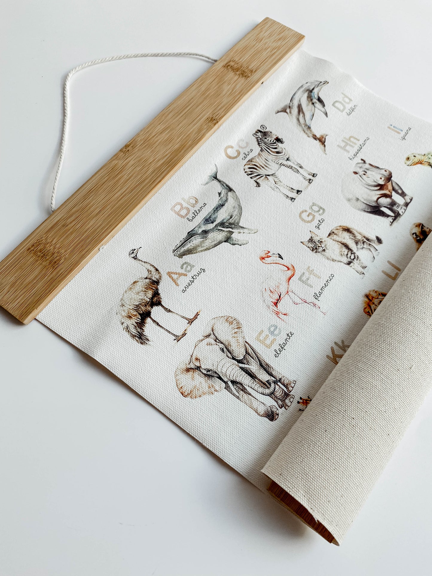 Pergamino en Canvas - ABC de Animales