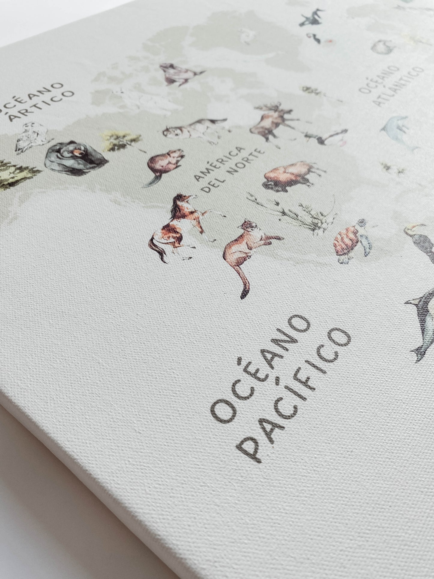 Cuadro en Canvas  - Mapa del Mundo