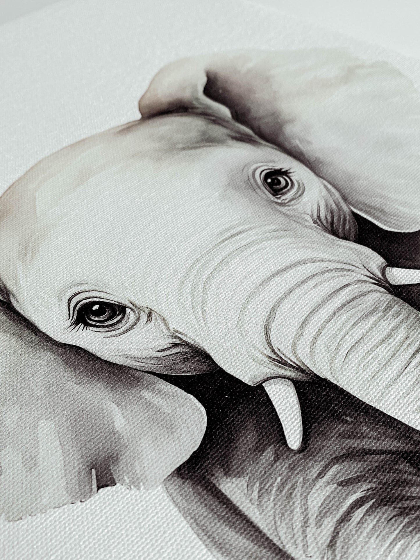 Cuadros Canvas - Retratos de Animales (LIQUIDACIÓN)