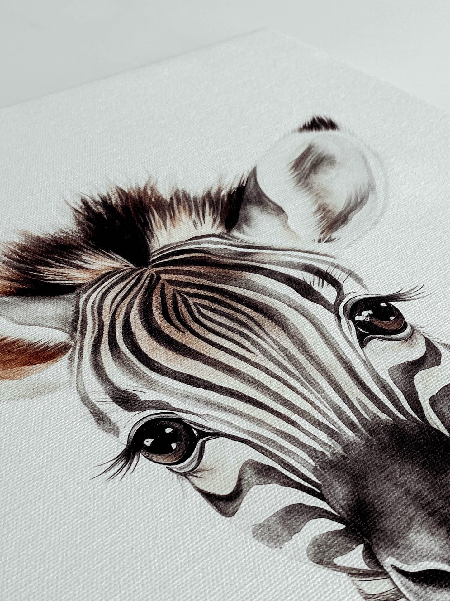 Cuadros Canvas - Retratos de Animales (LIQUIDACIÓN)