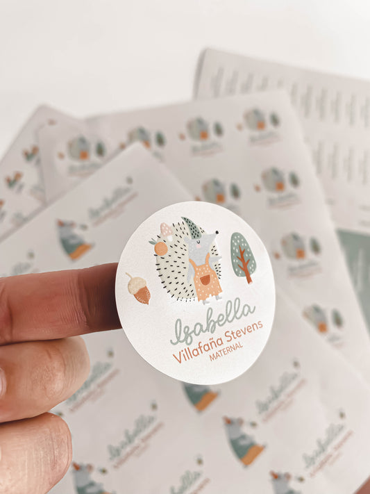 Paquetes de Stickers Escolares