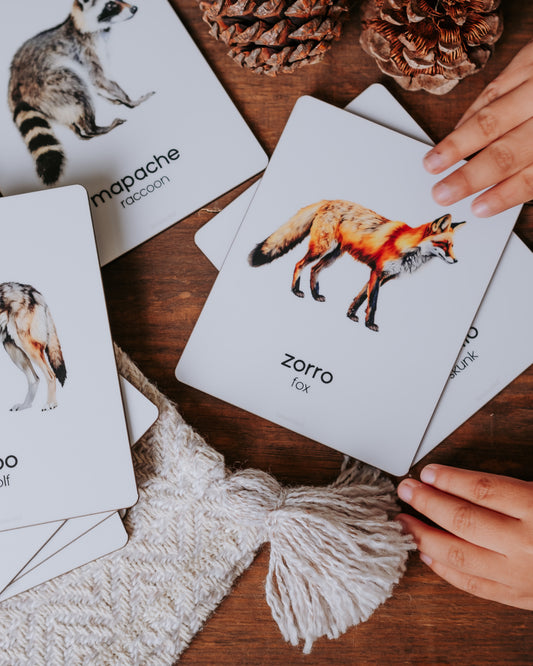 Flashcards - Bosque