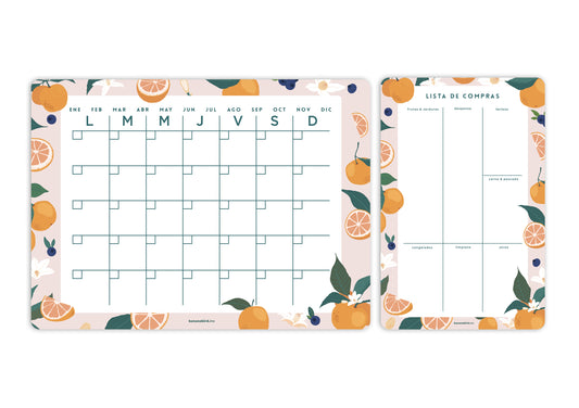 Kit de 2 planners magnéticos "Mensual + Planner mediano a elegir"