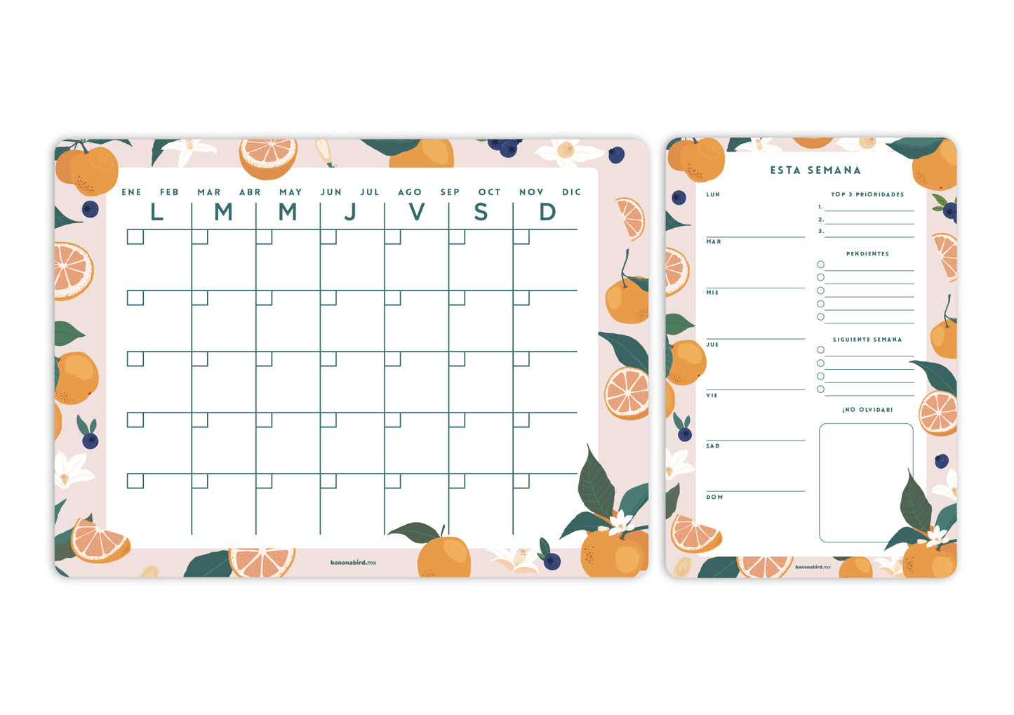 Kit de 2 planners magnéticos "Mensual + Planner mediano a elegir"