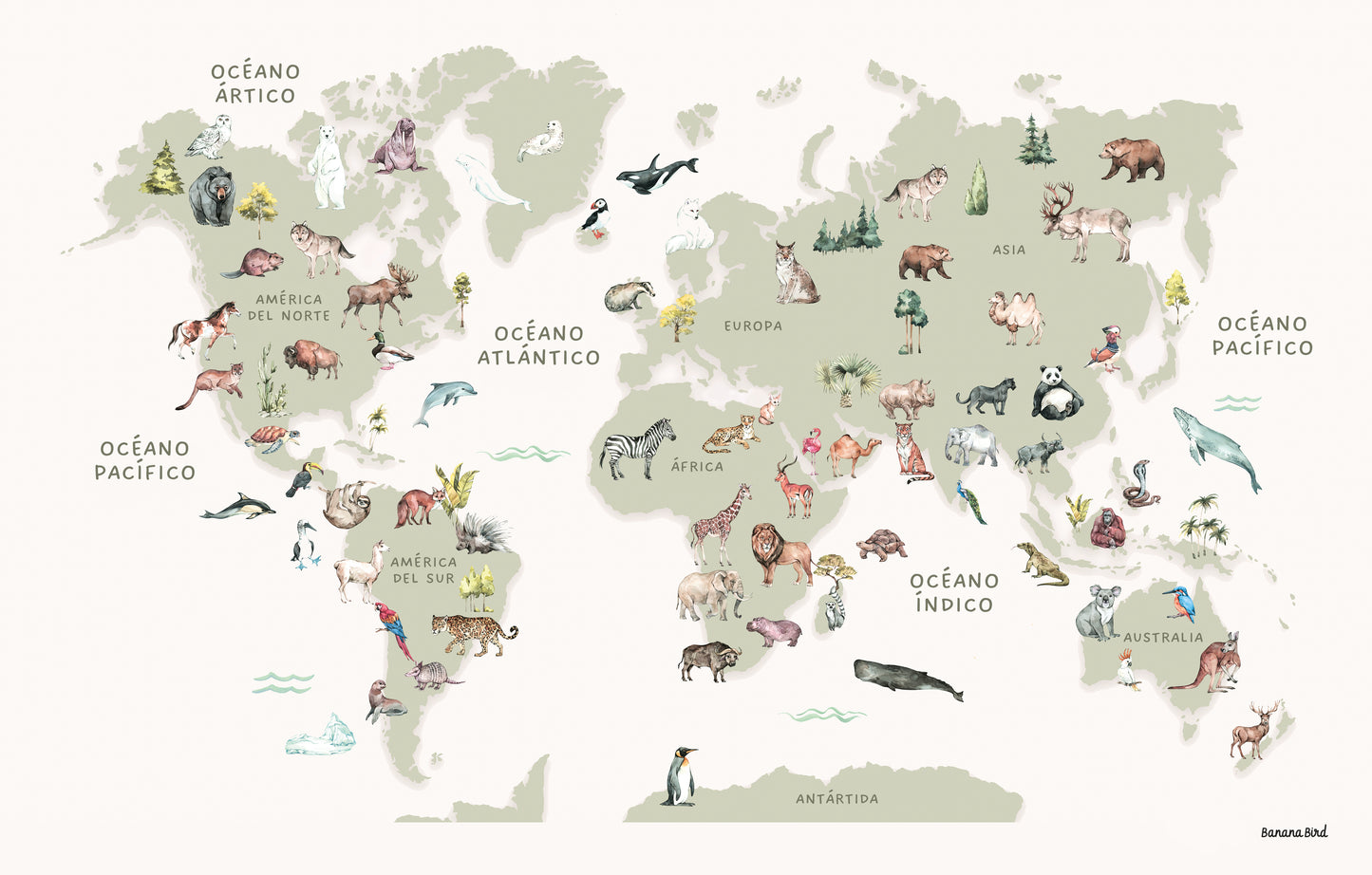 Cuadro en Canvas  - Mapa del Mundo