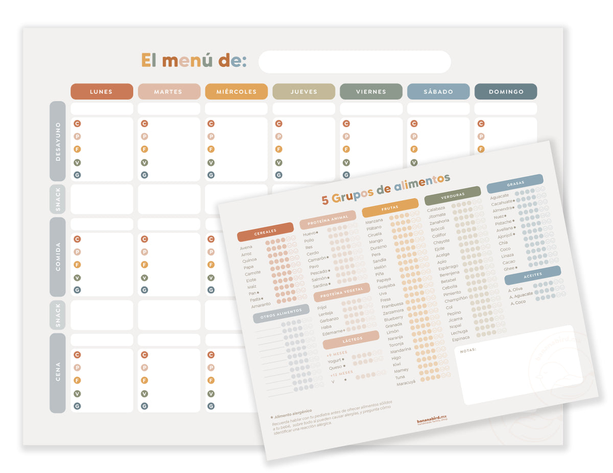 Planner de Alimentación Complementaria + Listado de alimentos (Digital ...