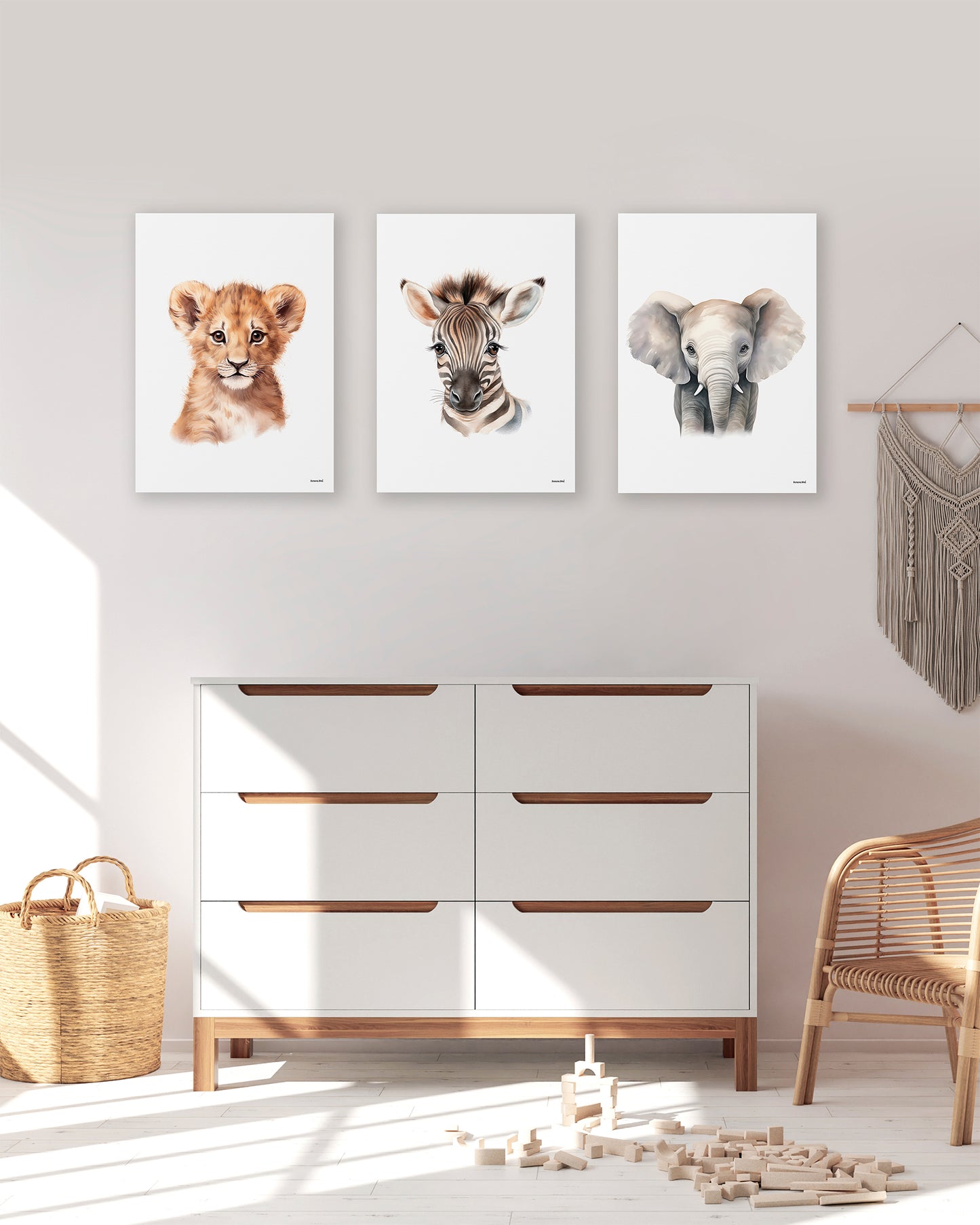 Cuadros Canvas - Retratos de Animales (LIQUIDACIÓN)